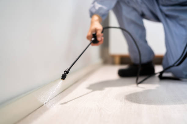Licensed Rodent Control service in Grand Forks County County, ND - Nex Pest Control