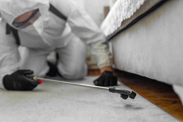 Professional Rodent Control technician working in Grand Forks County County, ND